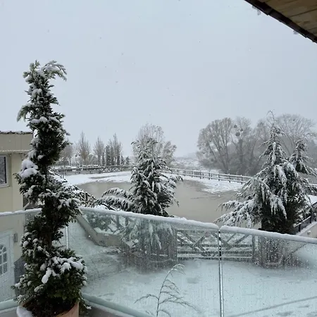 Versailles 2 * Bailly (Yvelines)