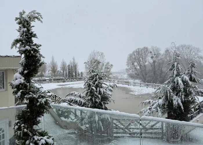 Versailles 2 * Bailly (Yvelines)